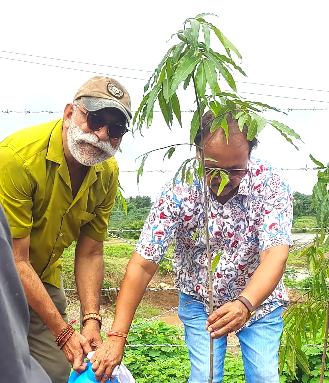 Community tree-planting activity